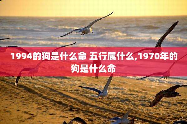 1994的狗是什么命 五行属什么,1970年的狗是什么命