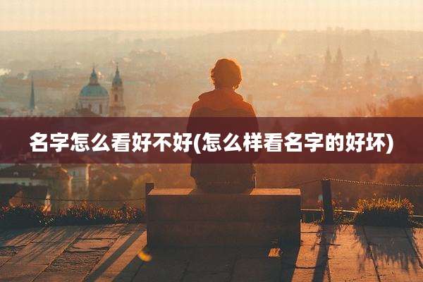 名字怎么看好不好(怎么样看名字的好坏)