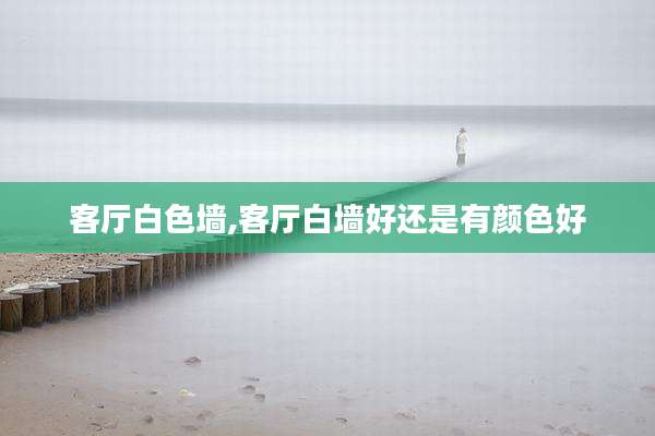 客厅白色墙,客厅白墙好还是有颜色好