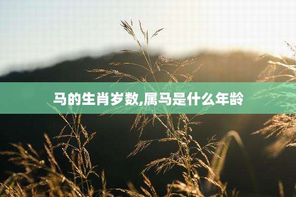 马的生肖岁数,属马是什么年龄