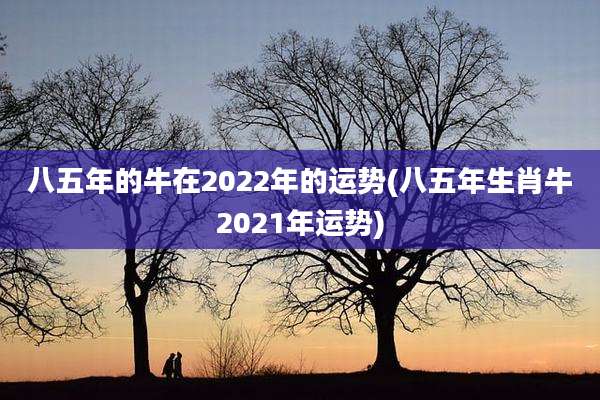 八五年的牛在2022年的运势(八五年生肖牛2021年运势)