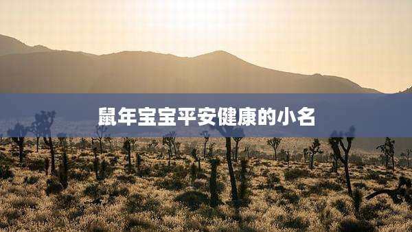 鼠年宝宝平安健康的小名