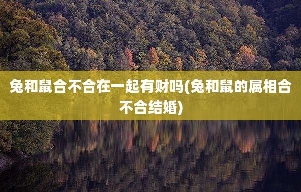 兔和鼠合不合在一起有财吗(兔和鼠的属相合不合结婚)