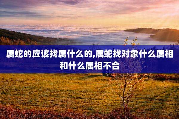 属蛇的应该找属什么的,属蛇找对象什么属相和什么属相不合