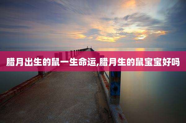 腊月出生的鼠一生命运,腊月生的鼠宝宝好吗