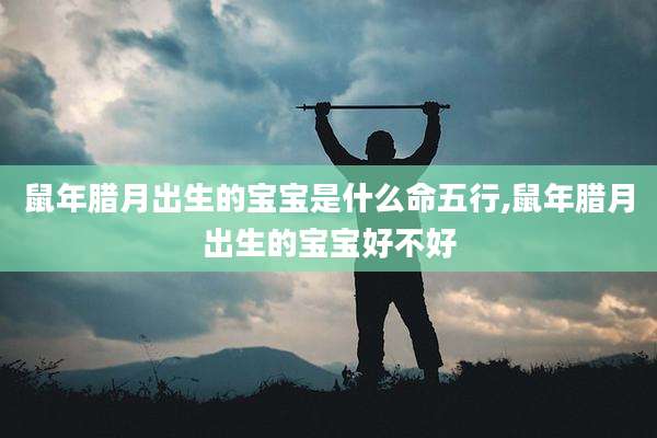 鼠年腊月出生的宝宝是什么命五行,鼠年腊月出生的宝宝好不好