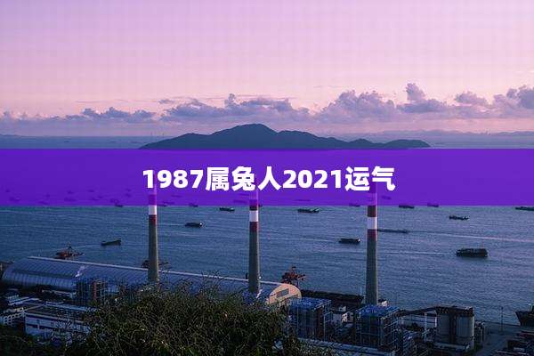 1987属兔人2021运气