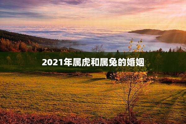 2021年属虎和属兔的婚姻