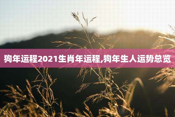 狗年运程2021生肖年运程,狗年生人运势总览