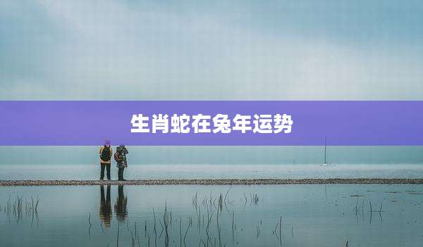 生肖蛇在兔年运势