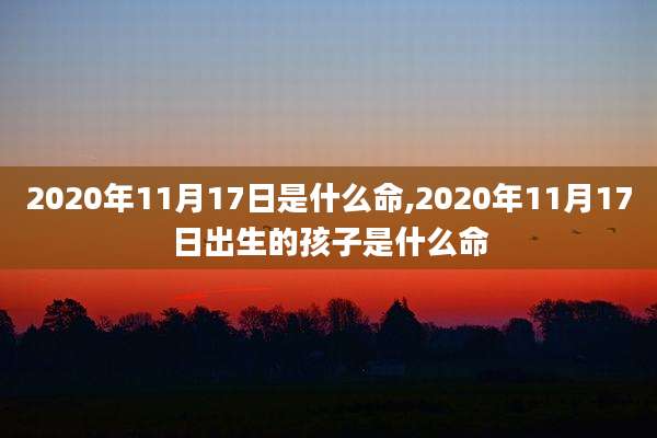 2020年11月17日是什么命,2020年11月17日出生的孩子是什么命