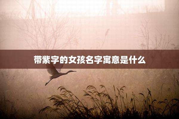 带紫字的女孩名字寓意是什么
