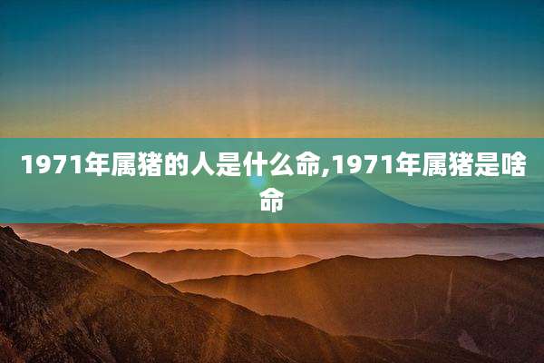 1971年属猪的人是什么命,1971年属猪是啥命