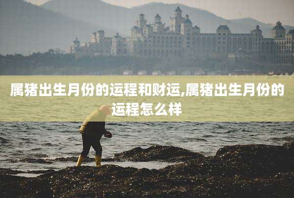 属猪出生月份的运程和财运,属猪出生月份的运程怎么样