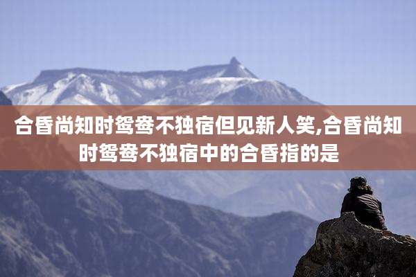 合昏尚知时鸳鸯不独宿但见新人笑,合昏尚知时鸳鸯不独宿中的合昏指的是