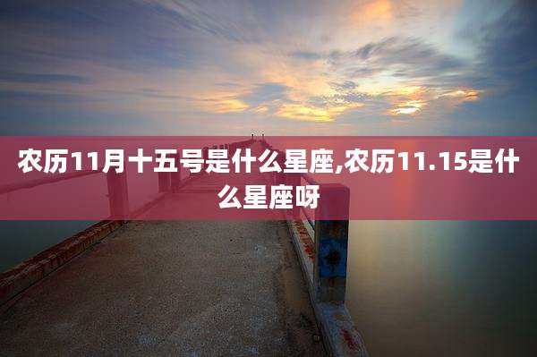 农历11月十五号是什么星座,农历11.15是什么星座呀