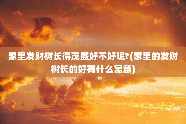 家里发财树长得茂盛好不好呢?(家里的发财树长的好有什么寓意)