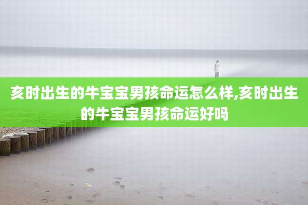 亥时出生的牛宝宝男孩命运怎么样,亥时出生的牛宝宝男孩命运好吗