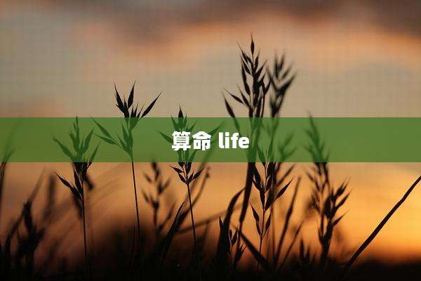 算命 life