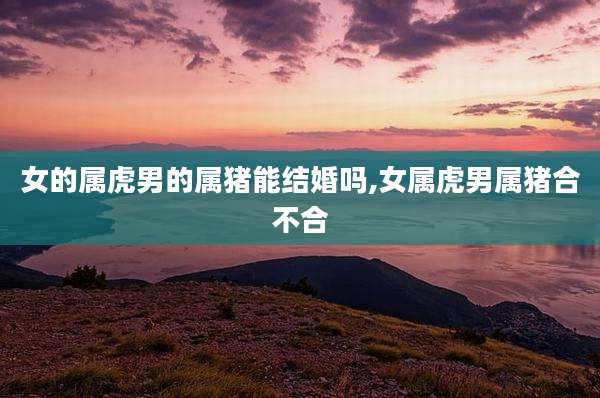 女的属虎男的属猪能结婚吗,女属虎男属猪合不合