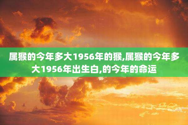 属猴的今年多大1956年的猴,属猴的今年多大1956年出生白,的今年的命运