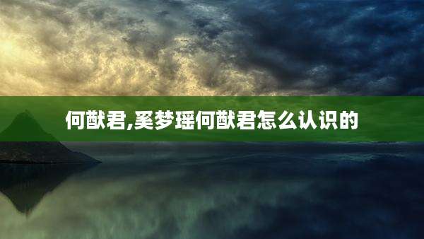 何猷君,奚梦瑶何猷君怎么认识的