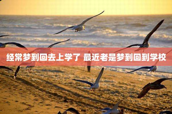 经常梦到回去上学了 最近老是梦到回到学校