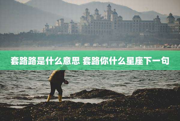 套路路是什么意思 套路你什么星座下一句