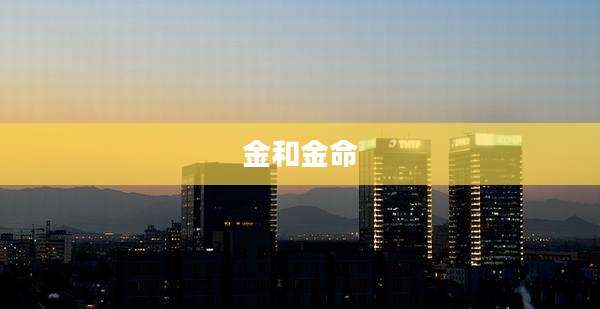 金和金命