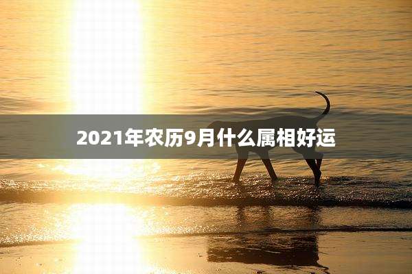 2021年农历9月什么属相好运