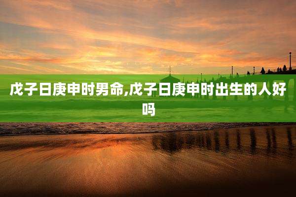 戊子日庚申时男命,戊子日庚申时出生的人好吗
