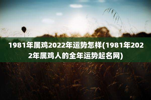 1981年属鸡2022年运势怎样(1981年2022年属鸡人的全年运势起名网)