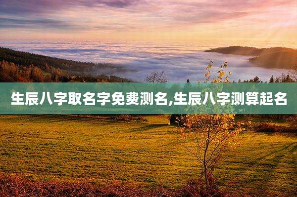 生辰八字取名字免费测名,生辰八字测算起名