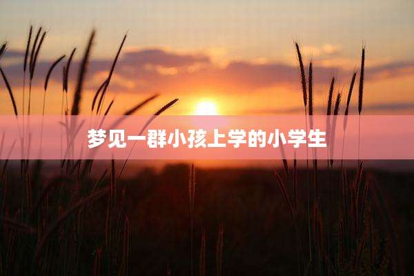 梦见一群小孩上学的小学生