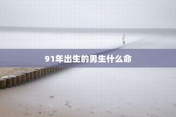 91年出生的男生什么命