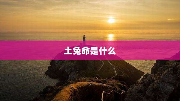 土兔命是什么
