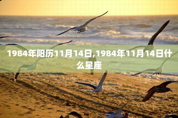 1984年阳历11月14日,1984年11月14日什么星座