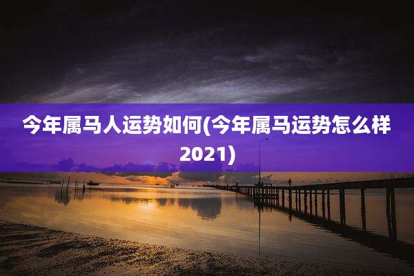今年属马人运势如何(今年属马运势怎么样2021)