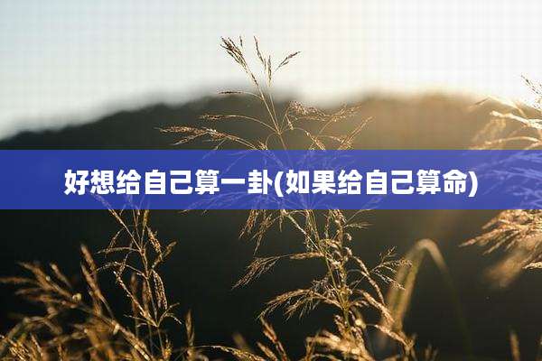 好想给自己算一卦(如果给自己算命)