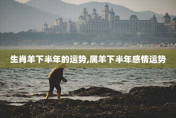 生肖羊下半年的运势,属羊下半年感情运势