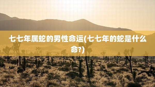 七七年属蛇的男性命运(七七年的蛇是什么命?)