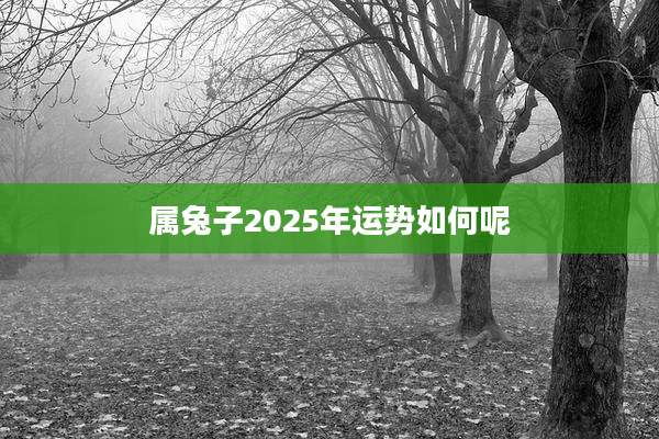 属兔子2025年运势如何呢