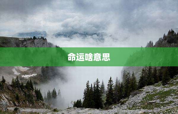 命运啥意思