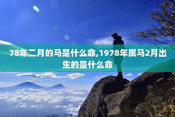 78年二月的马是什么命,1978年属马2月出生的是什么命