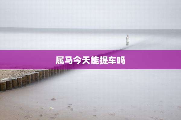 属马今天能提车吗