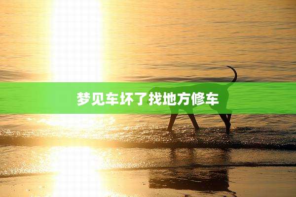梦见车坏了找地方修车