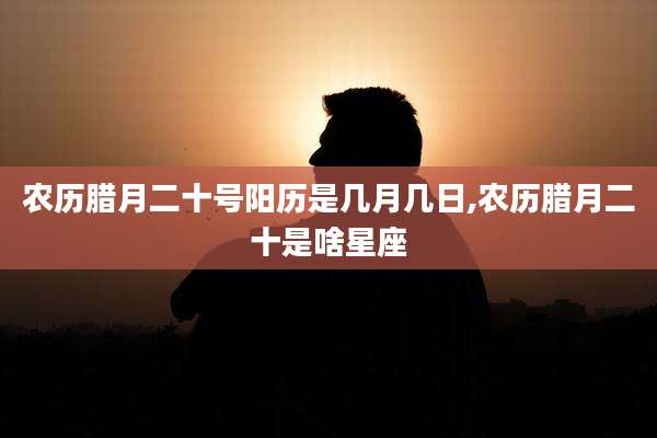农历腊月二十号阳历是几月几日,农历腊月二十是啥星座
