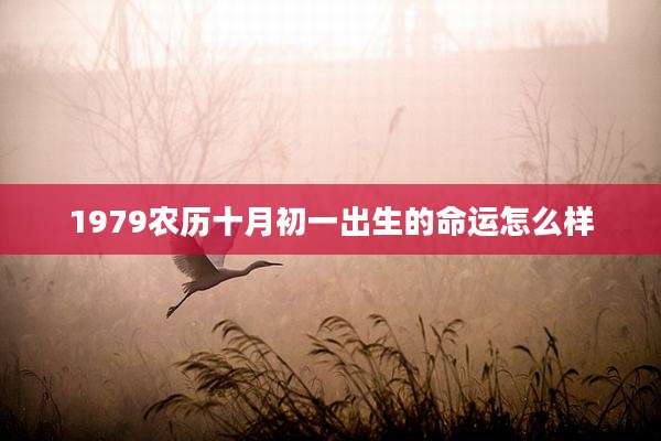 1979农历十月初一出生的命运怎么样