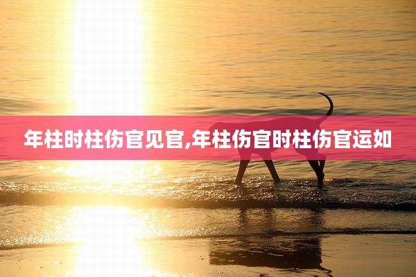 年柱时柱伤官见官,年柱伤官时柱伤官运如