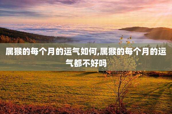属猴的每个月的运气如何,属猴的每个月的运气都不好吗